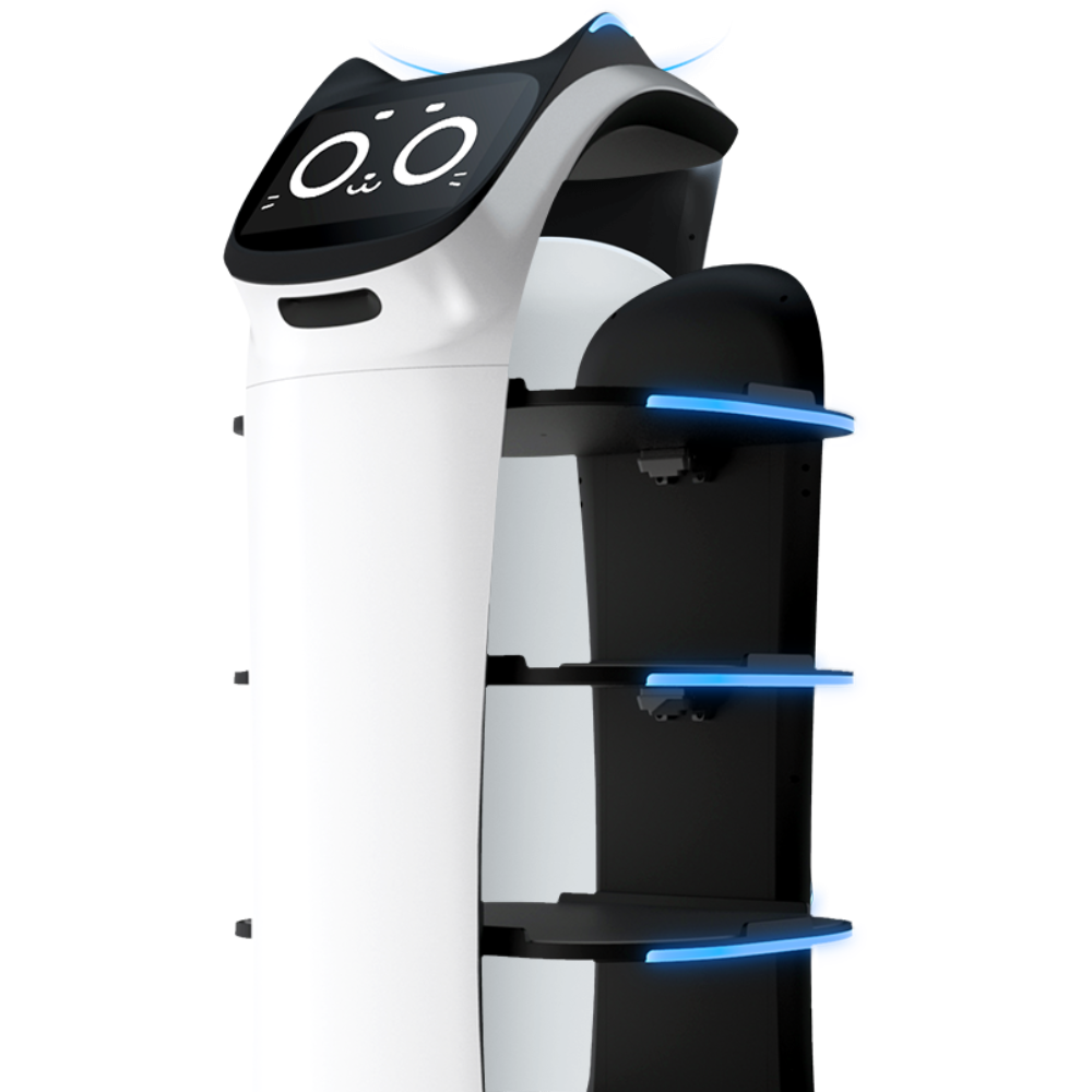 cuanto cuesta un robot camarero bellabot